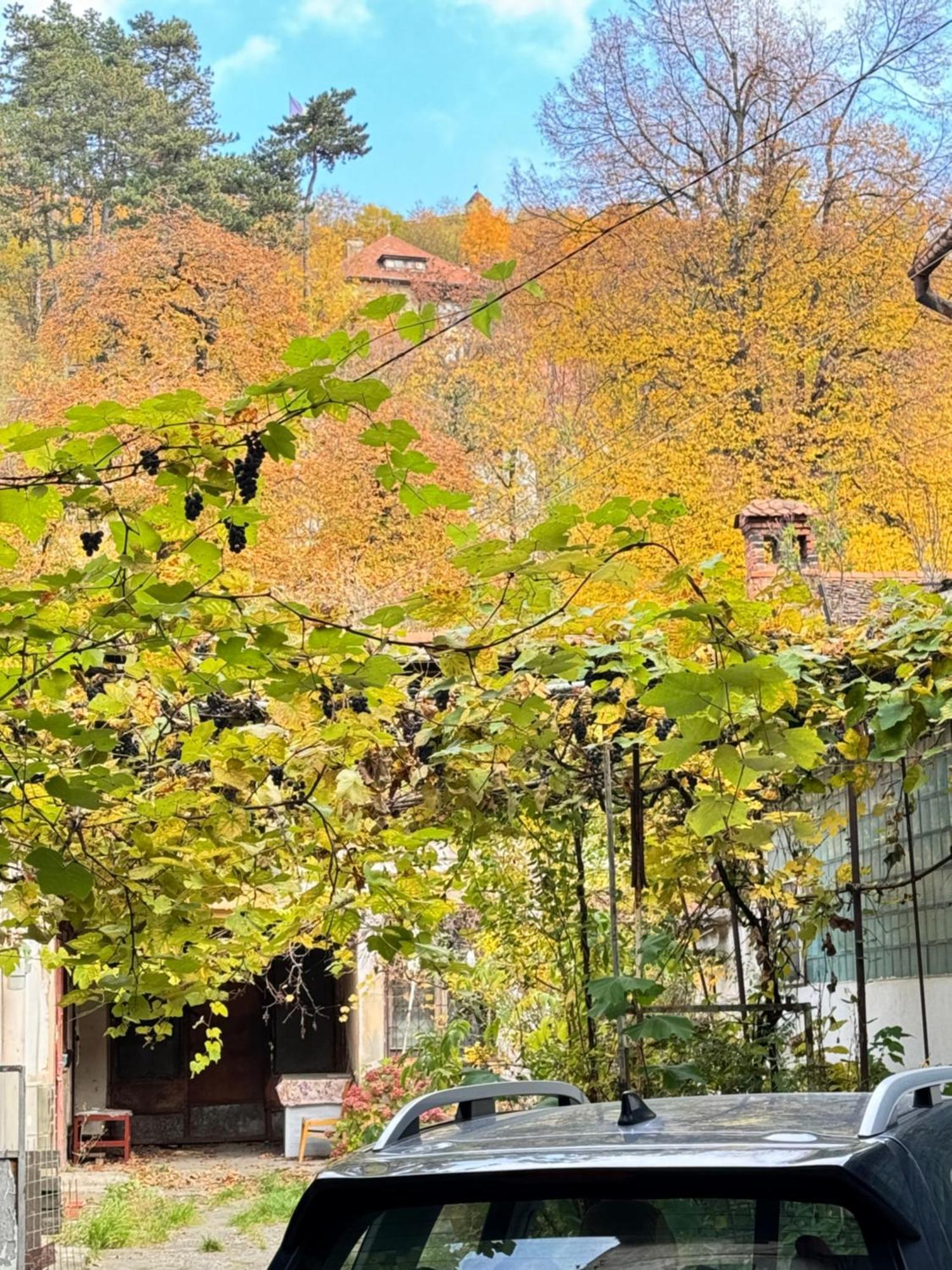 Casa Ming Villa Braşov Exteriör bild