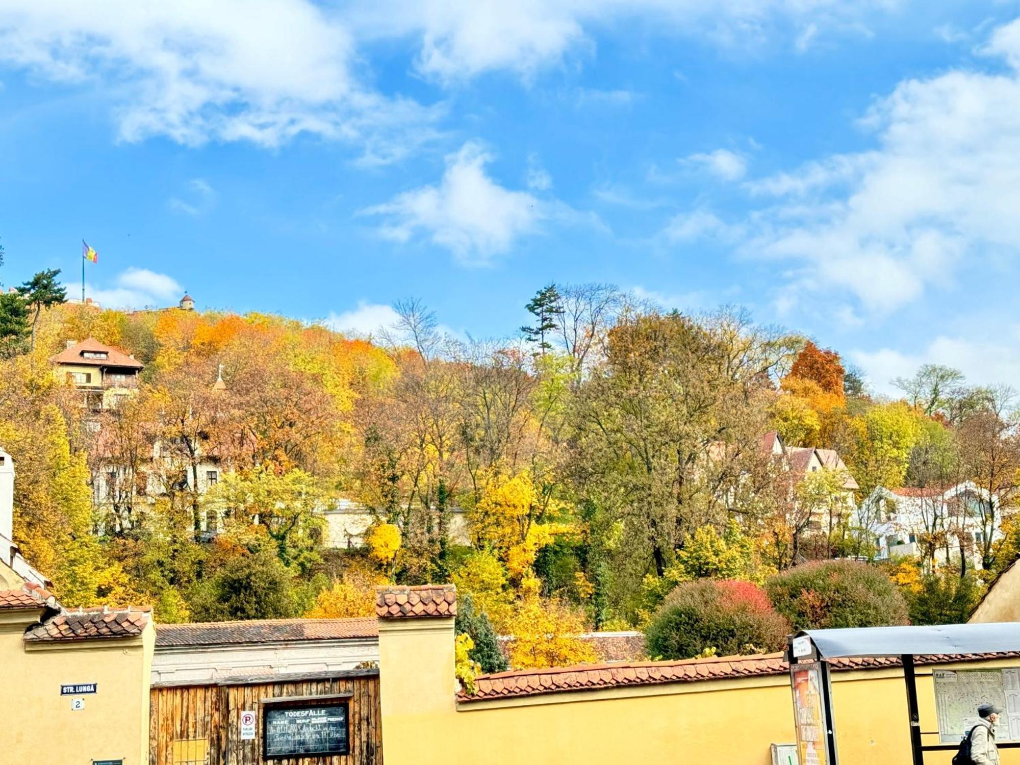 Casa Ming Villa Braşov Exteriör bild